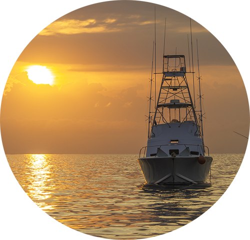 fishing during the sunset